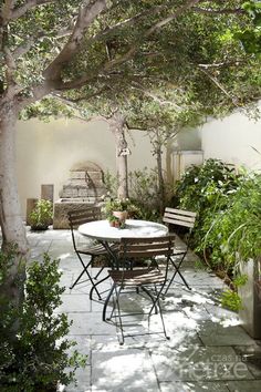 an outdoor dining table and chairs under a tree in a courtyard with potted plants