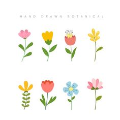 hand drawn botanical flowers in different colors and sizes on a white background with the words, hand drawn botanical