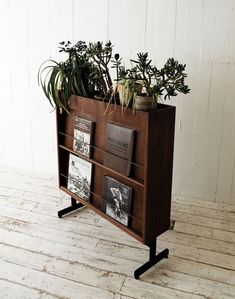 a wooden shelf with plants and books on it