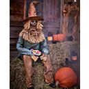 a scarecrow sitting in front of a pile of hay with pumpkins on the ground