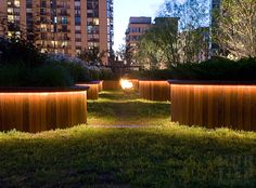 several large wooden planters lit up at night in a city park with tall buildings behind them