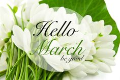 a bouquet of white flowers with the words hello march be good