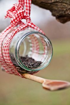 a mason jar filled with dirt sitting on top of a tree branch