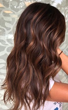 Chestnut Hair, Chestnut Hair Color, Hair Color Chocolate, Brown Ombre Hair, Hair Color Light Brown, Brown Hair Balayage, Ash Brown, Brown Blonde Hair, Auburn Hair