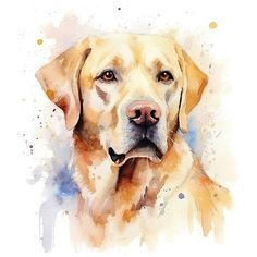 a watercolor painting of a dog's face