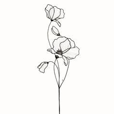 Tiny Tattoo Placement, Rare Tattoos, Fern Tattoo, Hand And Finger Tattoos, Poppies Tattoo, Tattoos For Women Half Sleeve, Silhouette Illustration, Subtle Tattoos, Best Tattoo Designs