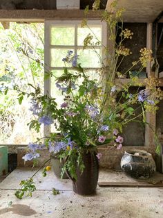 a potted plant sitting on top of a wooden table next to an open window