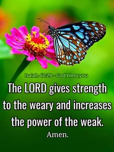 a butterfly sitting on top of a flower with the words, the lord gives strength to the