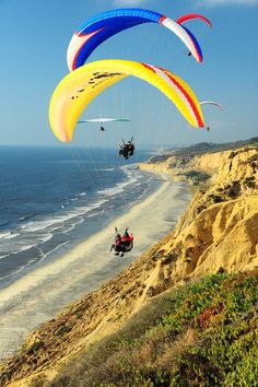 people are parasailing over the beach on a sunny day with blue sky and ocean in the background