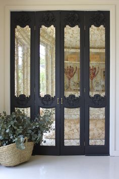 a potted plant sitting on the floor in front of a black double door with glass panels