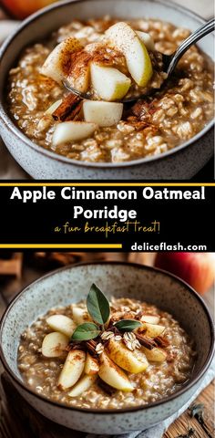 apple cinnamon oatmeal porridge in a bowl