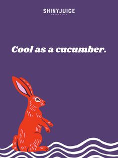 a red rabbit sitting on top of water with the words cool as a cucumber