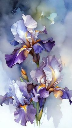 three purple and white irises in watercolor on paper by artist susan grisby