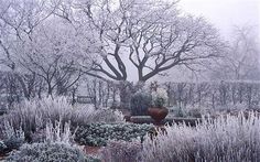 a snow covered garden with potted plants and trees