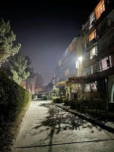 an empty street at night with the lights on and trees in the foreground,