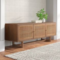 a plant is sitting on top of a wooden cabinet next to a rug and door