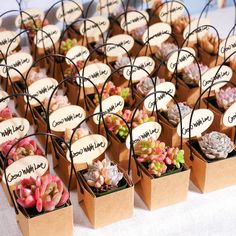 kraft-paper-succulent-favors-with-colorful-succulents Plant Wedding Favors For Guests, Plant Gifting Ideas, Succulent Packaging, Souvenirs For Birthday, Plant Giveaway, Plants Gift Ideas, Succulent Business, Succulent Gift Ideas, Plant Gift Ideas