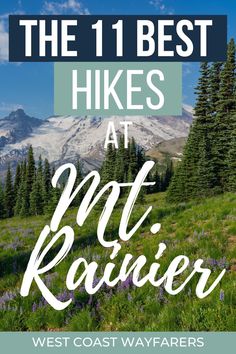 the 11 best hikes at mt rainier west coast