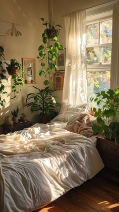 an unmade bed in a bedroom with plants on the windowsill and sunlight streaming through the window