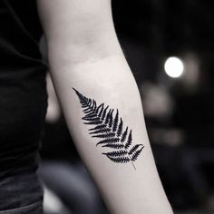 a fern leaf tattoo on the arm