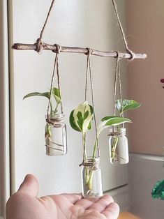 three mason jars with plants hanging from them