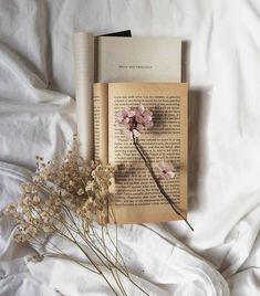 an open book and some flowers on a bed