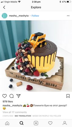 a cake with chocolate frosting and fruit on top, surrounded by other food items