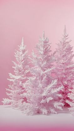 three white christmas trees against a pink background