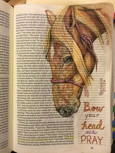 an open book with a drawing of a horse's head and words on it