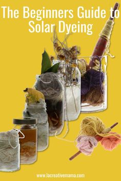 the beginner's guide to solar dyeing by larcettevenna