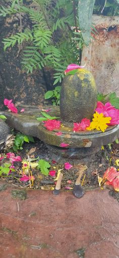 a bird bath with flowers on the ground in front of some rocks and plants around it