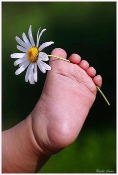 a baby's foot with a flower in it