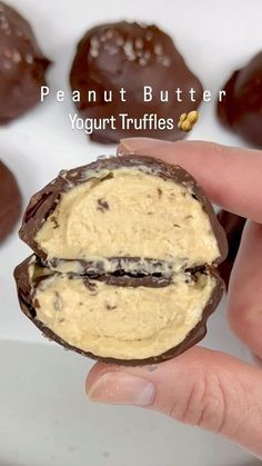 a hand holding a chocolate peanut butter yogurt truffles