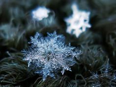 a snowflake that is sitting on some grass