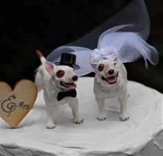 two small white dogs standing on top of a cake