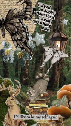 an altered collage with butterflies, mushrooms and books