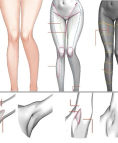 the diagram shows different types of legs and butts, with lines drawn on them