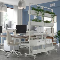 an office with two desks and three computer screens