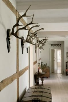 the hallway is lined with antlers on the wall