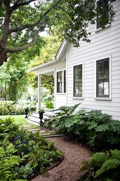 a white house surrounded by lush green plants