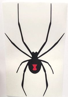 a drawing of a spider on a piece of paper