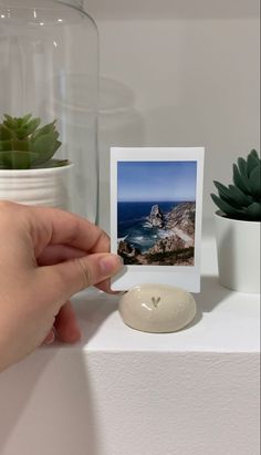 a person holding up a small polaroid photo next to a potted succulent