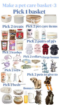 a poster with different types of items for dogs and cats to use in their home