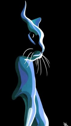 a blue and white cat on a black background