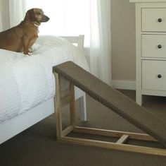 a brown dog sitting on top of a bed next to a white dresser and window