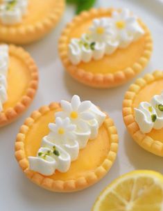 lemon tarts decorated with white flowers and daisies