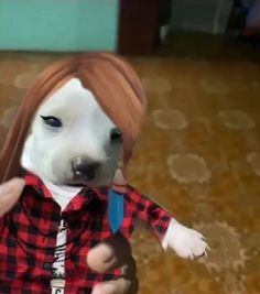 a white dog wearing a red and black shirt with long blonde hair on it's head