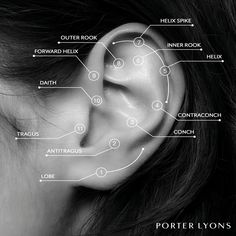 One Ear Piercing - Porter Lyons One Ear Piercing, Piercing Guide, Denim Bar, Price List Design, Forward Helix, Ear Party, Flat Back Earrings, Ear Earrings, Pop Ups