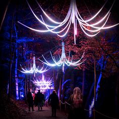 people walking down a path covered in lights