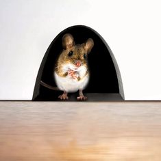 a mouse sitting in a tunnel on top of a wooden table next to a white wall